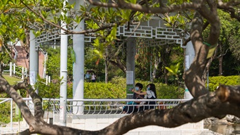 凉亭是坊众閒坐休憩和相聚閒聊的热点。